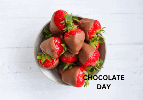 chocolate day pic