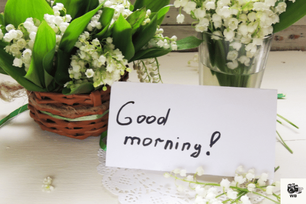 good morning images flowers