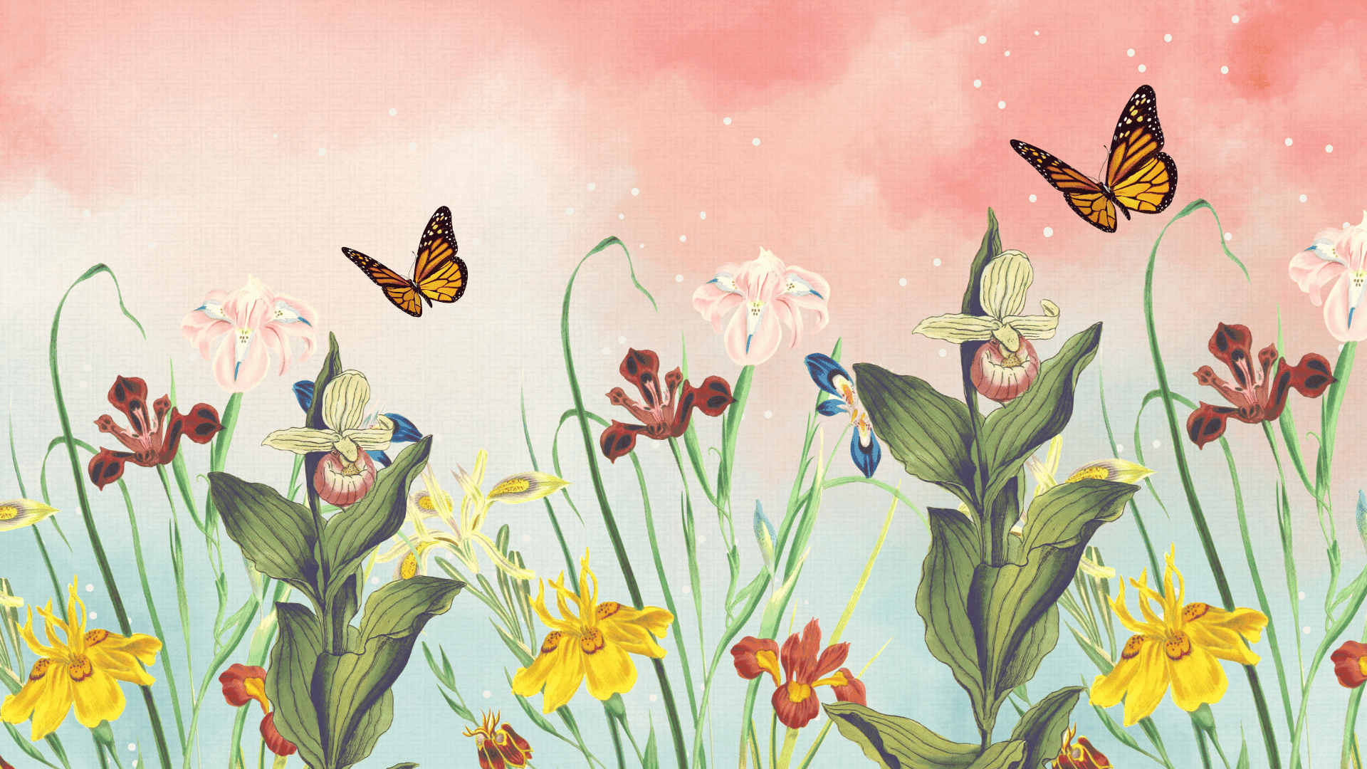 flower wallpaper for desktop background